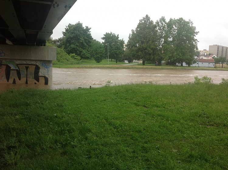 Malák. Foto Jakub Chán