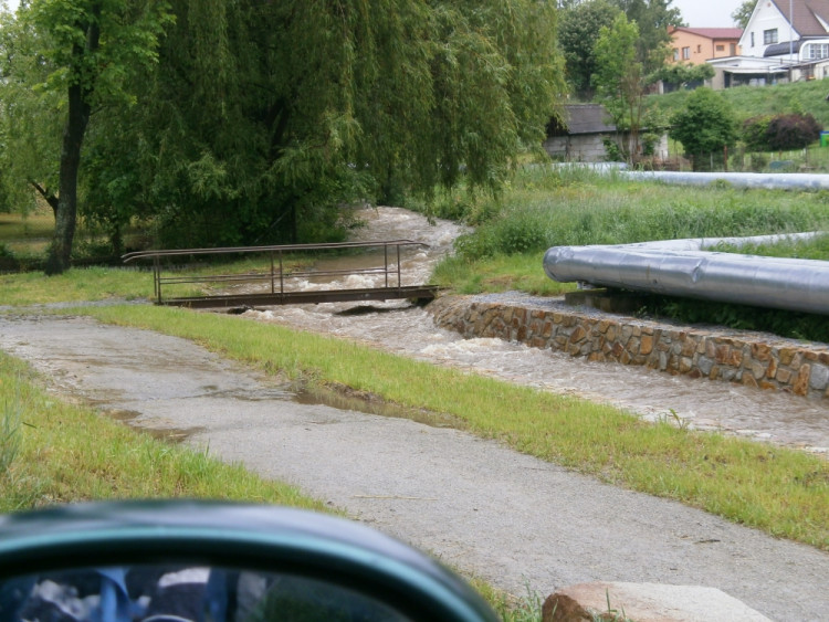 Trhové Sviny, potok u studánky. Foto Lenka Vandělíková