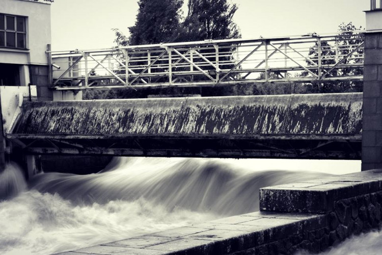 Jez u papíren. Foto Sabina Petrová