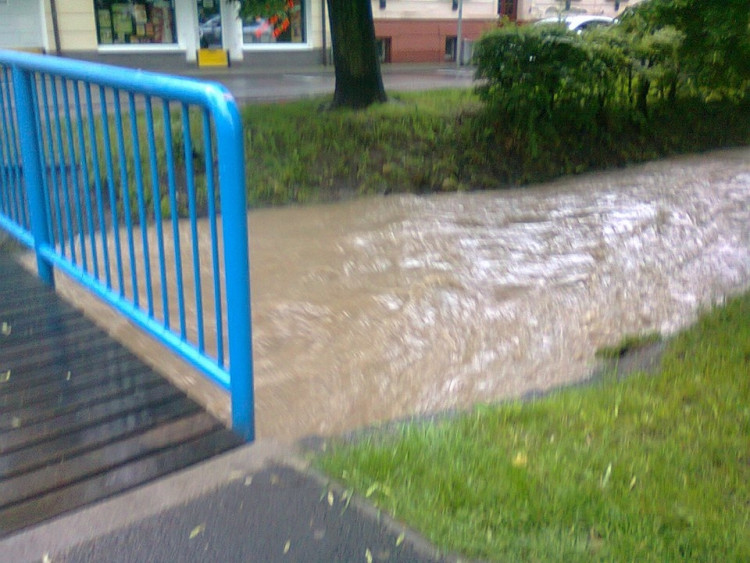 Potok v Suchém Vrbném. Foto Káťa Václavová