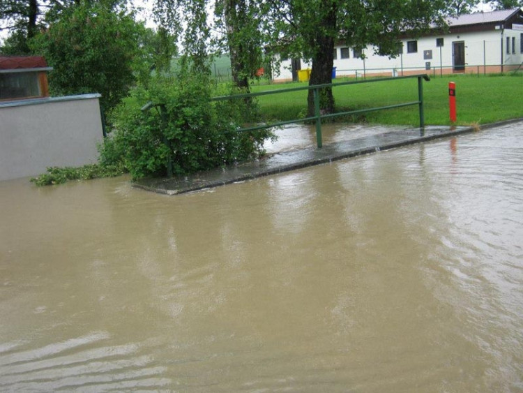 Potok v Olešníku. Foto Markéta Popelová