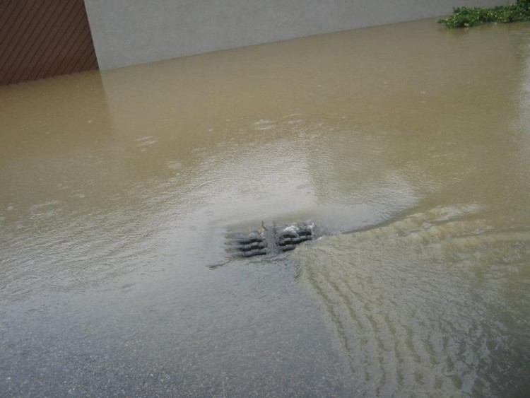 Potok v Olešníku. Foto Markéta Popelová