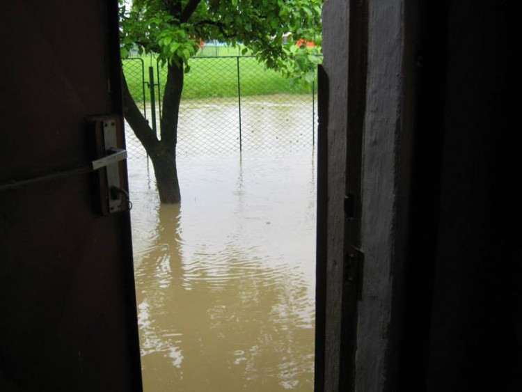 Potok v Olešníku. Foto Markéta Popelová