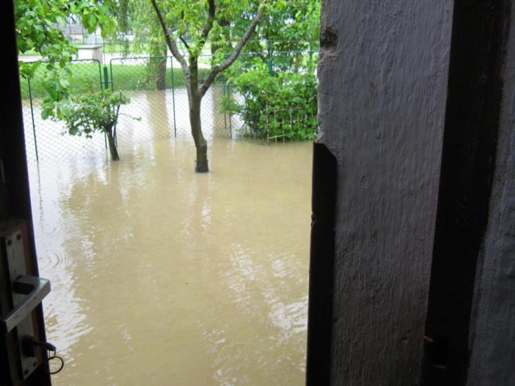 Potok v Olešníku. Foto Markéta Popelová