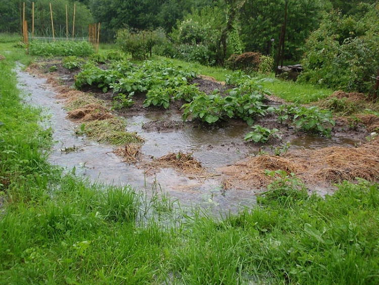 Samota Beran u Borovan. Foto Jana Voříšková