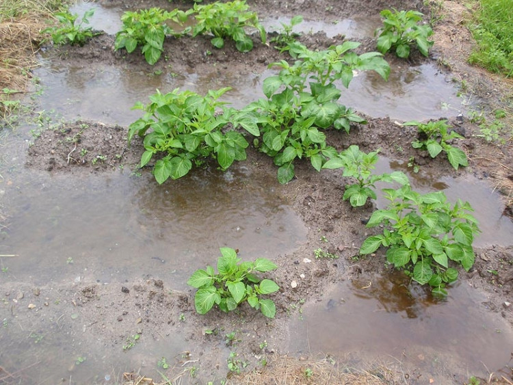 Samota Beran u Borovan. Foto Jana Voříšková