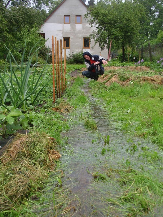 Samota Beran u Borovan. Foto Jana Voříšková