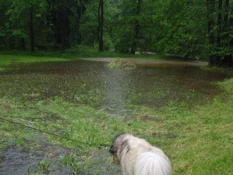 Samota Beran u Borovan. Foto Jana Voříšková