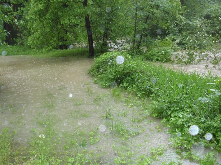 Samota Beran u Borovan. Foto Jana Voříšková