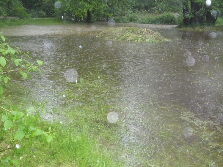 Samota Beran u Borovan. Foto Jana Voříšková