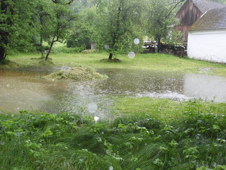 Samota Beran u Borovan. Foto Jana Voříšková