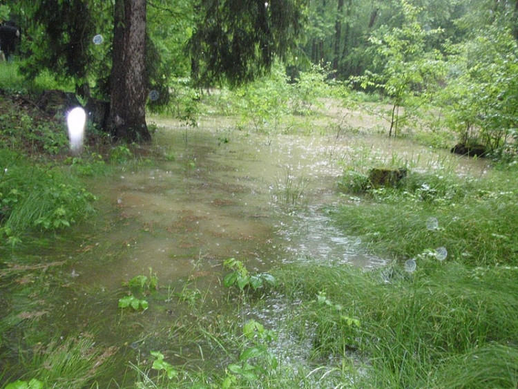 Samota Beran u Borovan. Foto Jana Voříšková