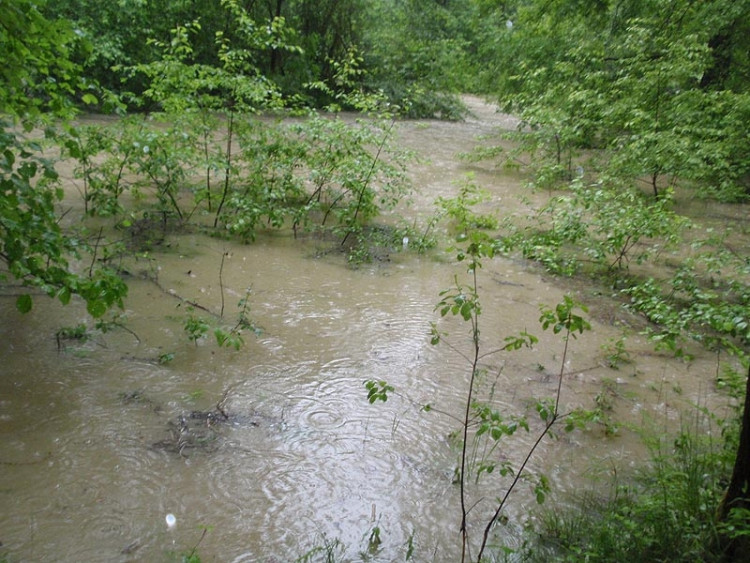 Samota Beran u Borovan. Foto Jana Voříšková
