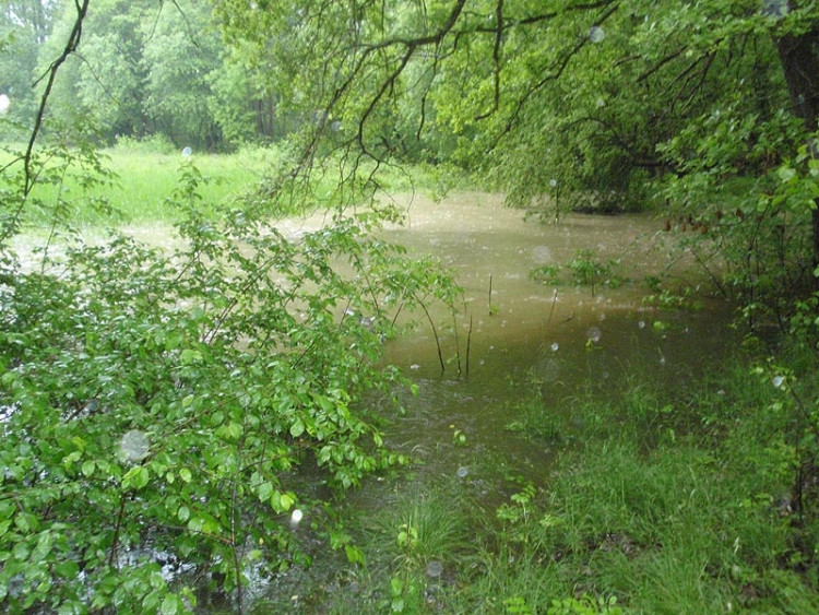 Samota Beran u Borovan. Foto Jana Voříšková