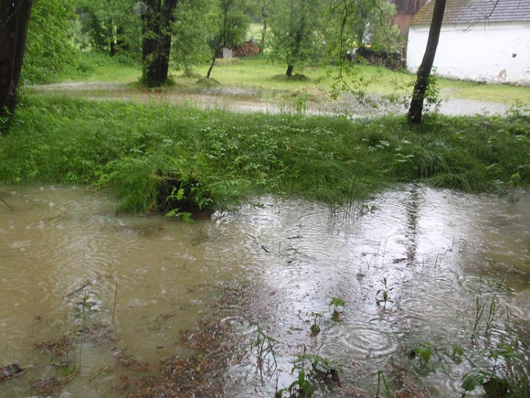 Samota Beran u Borovan. Foto Jana Voříšková