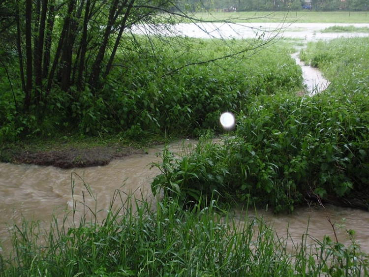 Samota Beran u Borovan. Foto Jana Voříšková