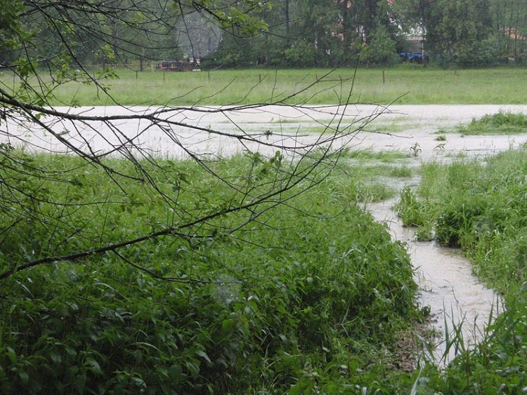 Samota Beran u Borovan. Foto Jana Voříšková