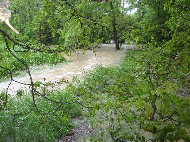 Samota Beran u Borovan. Foto Jana Voříšková
