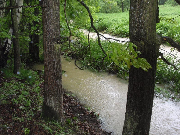 Samota Beran u Borovan. Foto Jana Voříšková