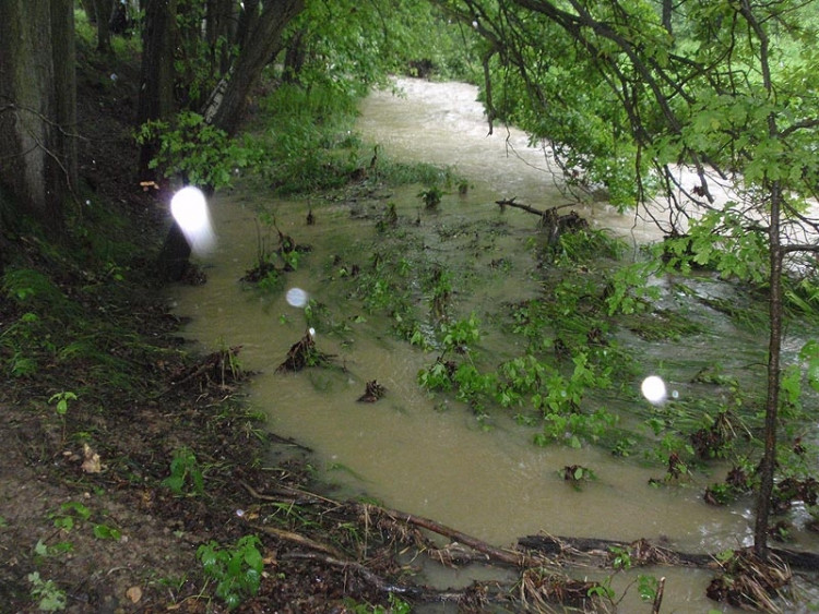 Samota Beran u Borovan. Foto Jana Voříšková