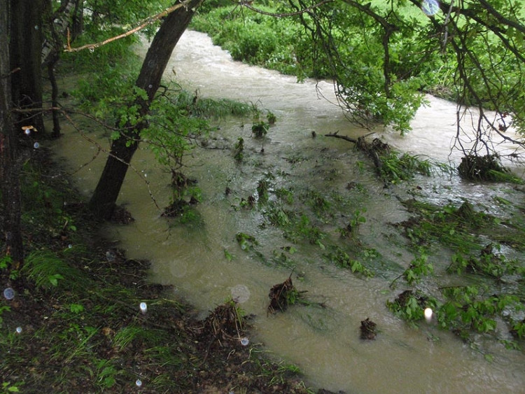 Samota Beran u Borovan. Foto Jana Voříšková