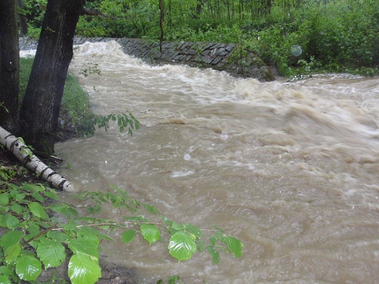 Samota Beran u Borovan. Foto Jana Voříšková