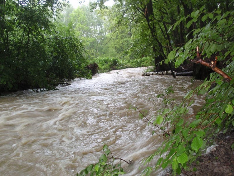 Samota Beran u Borovan. Foto Jana Voříšková