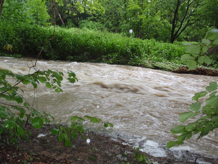 Samota Beran u Borovan. Foto Jana Voříšková