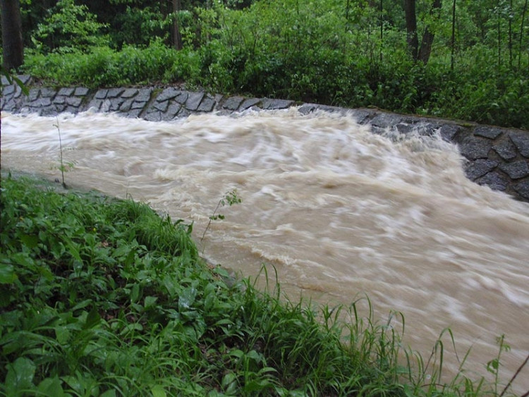 Samota Beran u Borovan. Foto Jana Voříšková