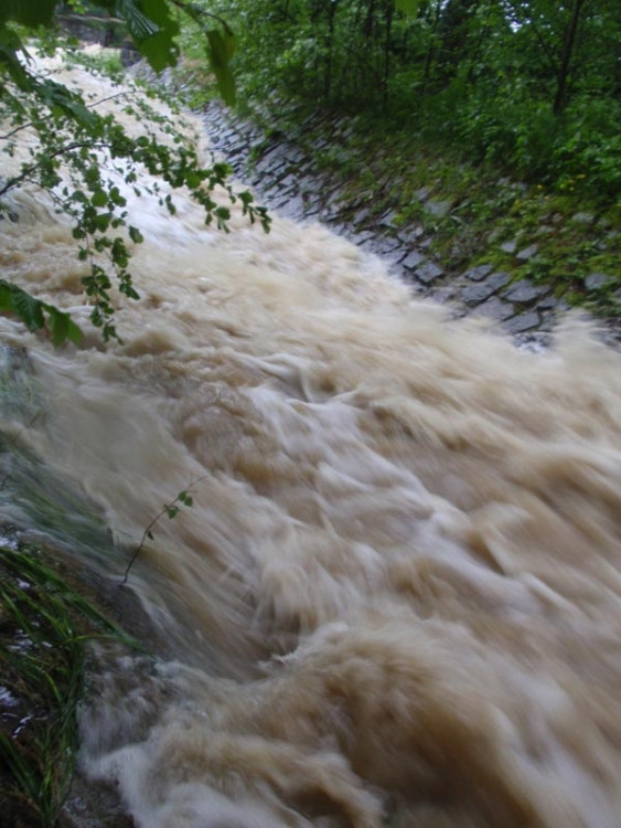 Samota Beran u Borovan. Foto Jana Voříšková