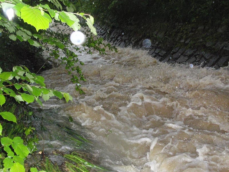 Samota Beran u Borovan. Foto Jana Voříšková