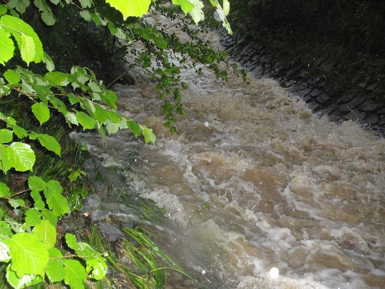 Samota Beran u Borovan. Foto Jana Voříšková