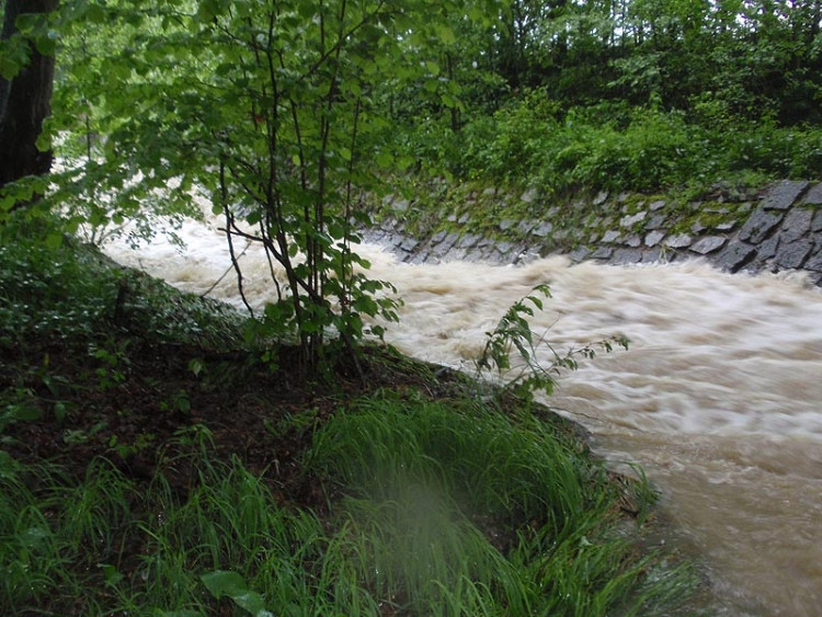 Samota Beran u Borovan. Foto Jana Voříšková