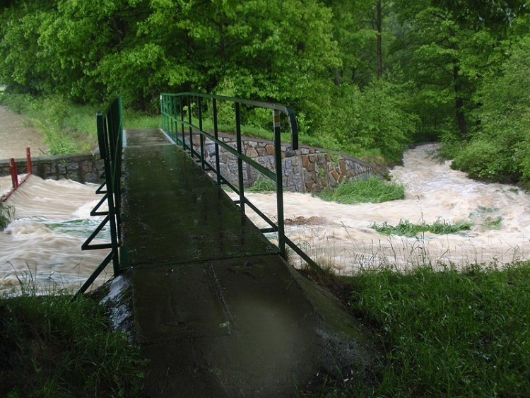 Samota Beran u Borovan. Foto Jana Voříšková