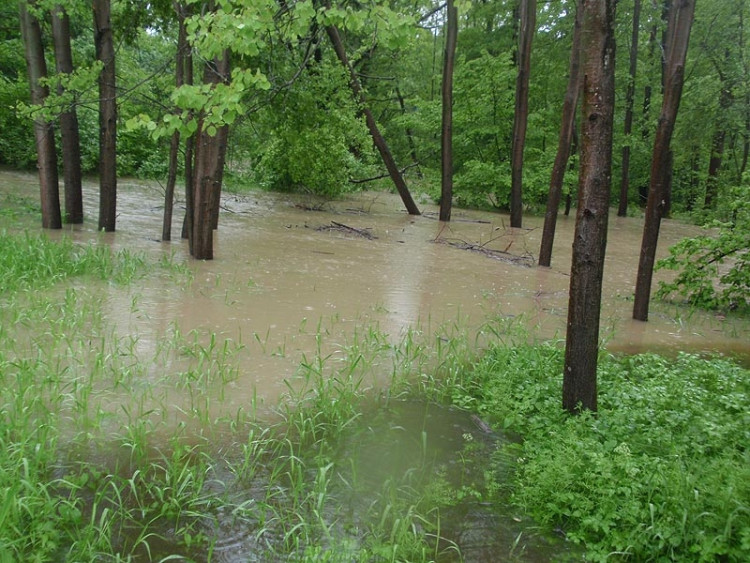 Samota Beran u Borovan. Foto Jana Voříšková