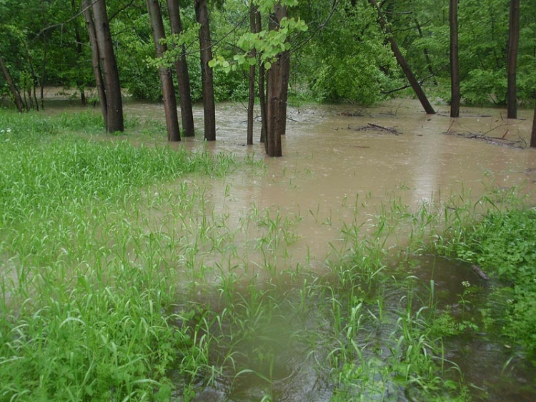Samota Beran u Borovan. Foto Jana Voříšková