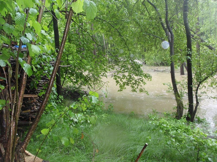 Samota Beran u Borovan. Foto Jana Voříšková