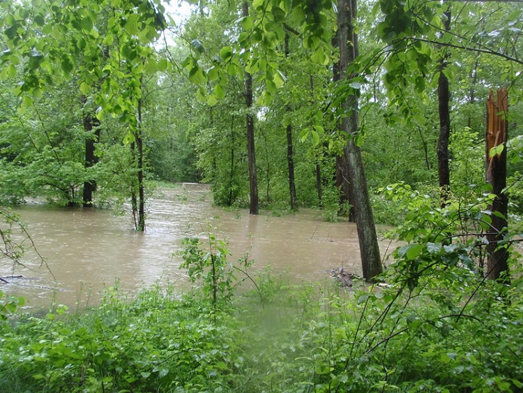 Samota Beran u Borovan. Foto Jana Voříšková