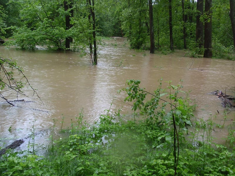 Samota Beran u Borovan. Foto Jana Voříšková