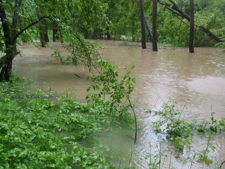 Samota Beran u Borovan. Foto Jana Voříšková