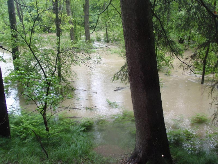 Samota Beran u Borovan. Foto Jana Voříšková