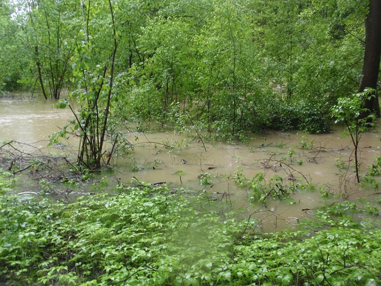 Samota Beran u Borovan. Foto Jana Voříšková