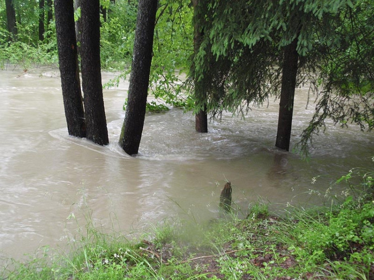 Samota Beran u Borovan. Foto Jana Voříšková