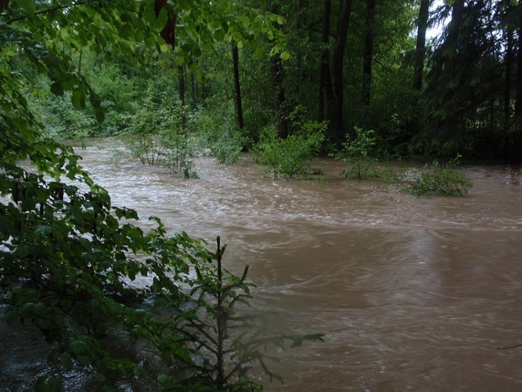 Samota Beran u Borovan. Foto Jana Voříšková