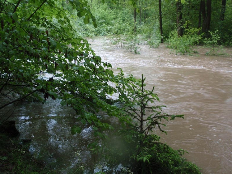 Samota Beran u Borovan. Foto Jana Voříšková