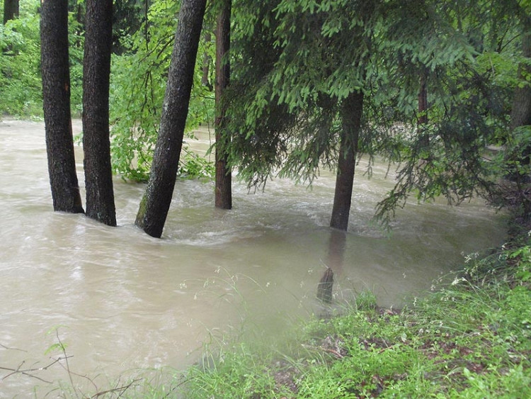 Samota Beran u Borovan. Foto Jana Voříšková
