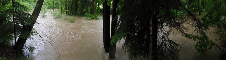 Samota Beran u Borovan. Foto Jana Voříšková