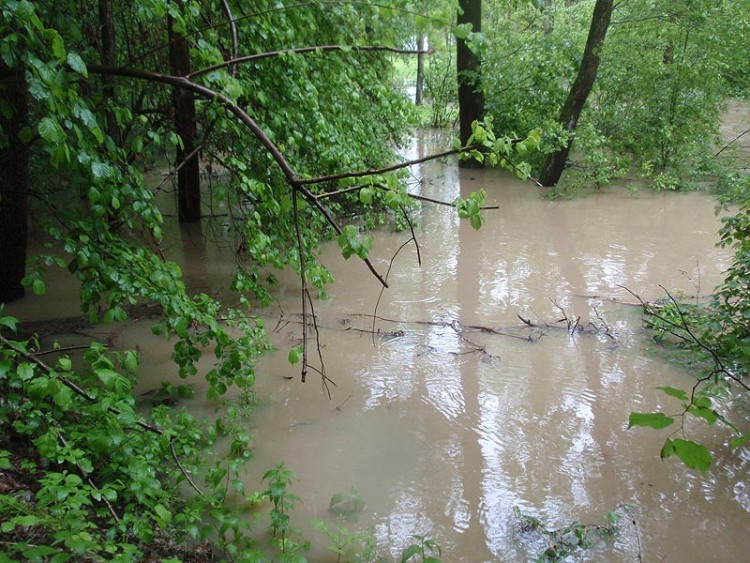 Samota Beran u Borovan. Foto Jana Voříšková