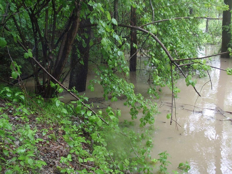 Samota Beran u Borovan. Foto Jana Voříšková