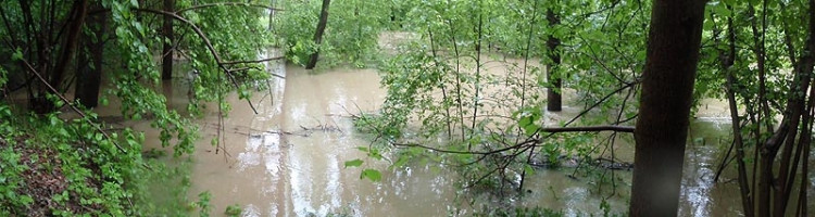 Samota Beran u Borovan. Foto Jana Voříšková
